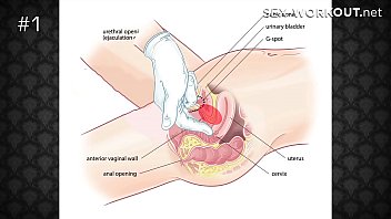 Instructional & acceptable procedures for Anal Sex